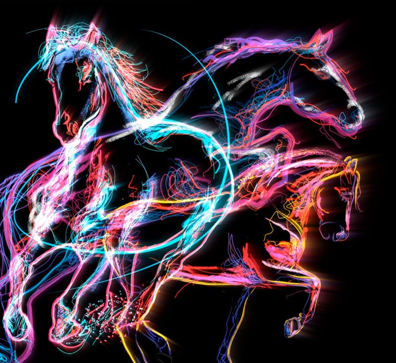 Jumping-international-de-Bordeaux---Motion-design---E-Team